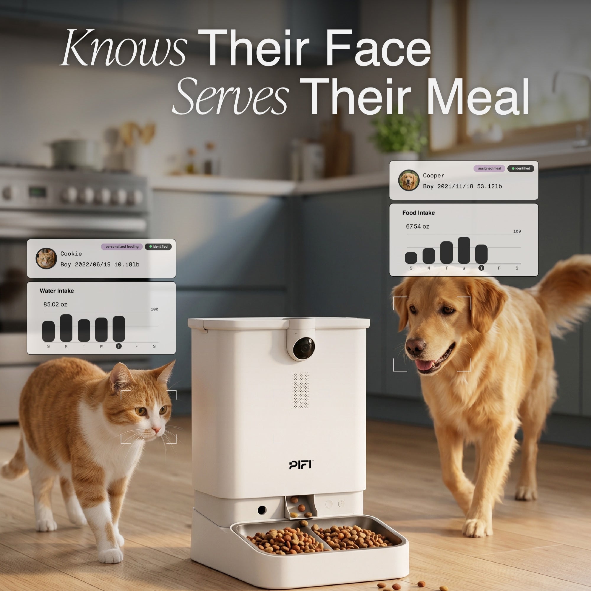 All-in-One Smart Pet Feeder