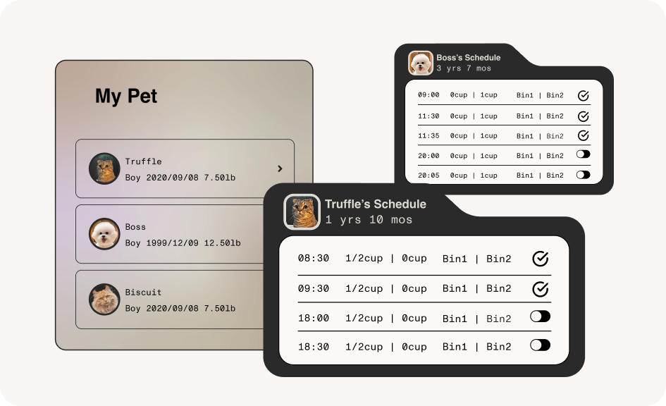 setting schedule