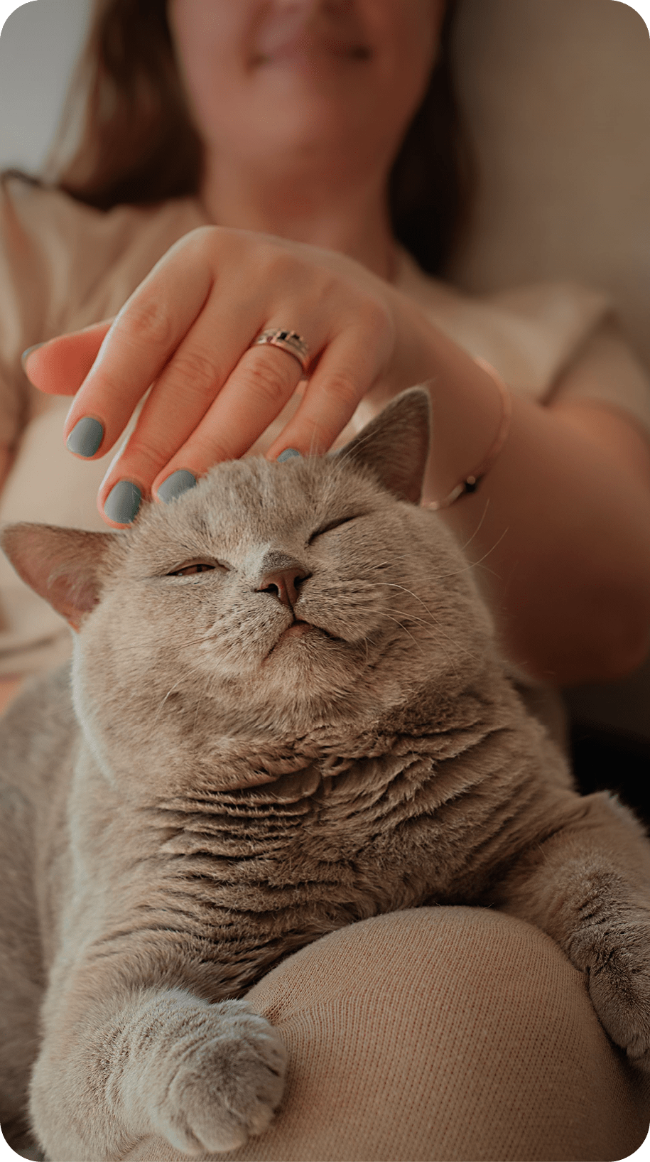 Feed your pet