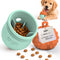 Carrot Orange & Turquoise