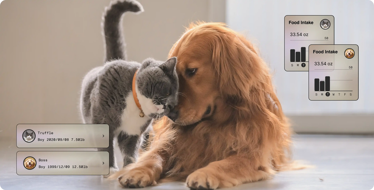 Add Your (Multi) Pets