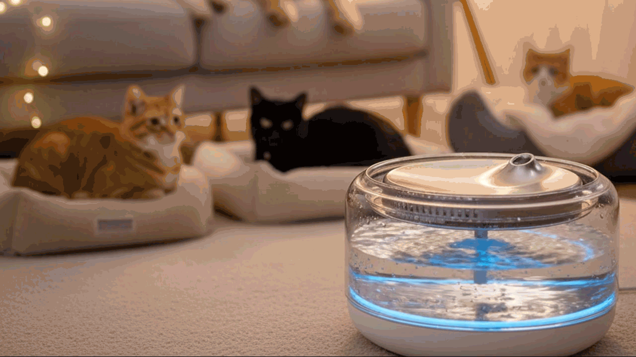 <span class="special">Clarity,</span> Redefined.