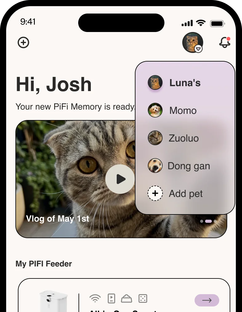 myPiFi app screen