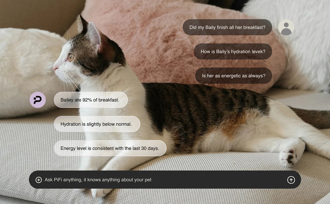 Ask PiFi anything about your pet