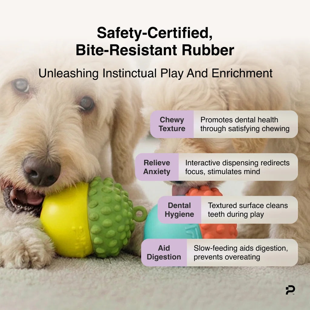 Two dogs chewing on the orange and green MyPiFi DentalFlex treat-dispensing toy, highlighting dental, anxiety-relief, and digestion benefits.