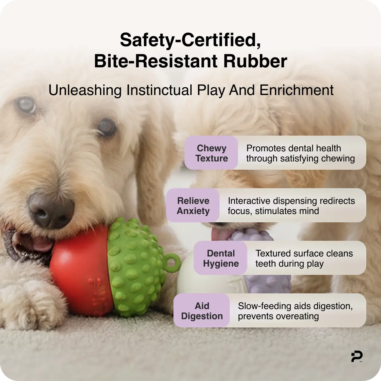 Two dogs chewing on the red and green Christmas-themed MyPiFi DentalFlex treat-dispensing toy, highlighting dental, anxiety-relief, and digestion benefits.