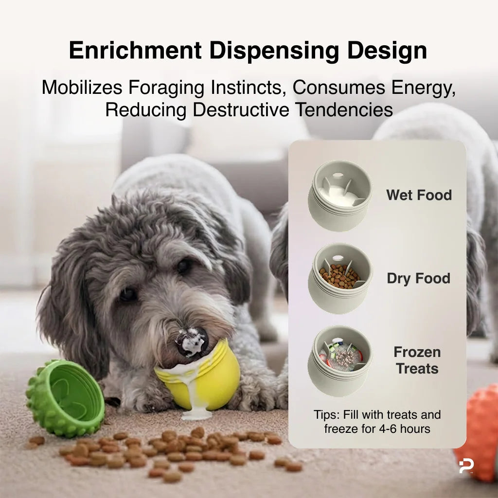 Dog licking wet food from the orange and green MyPiFi DentalFlex enrichment toy, with dry food and frozen treat options shown.