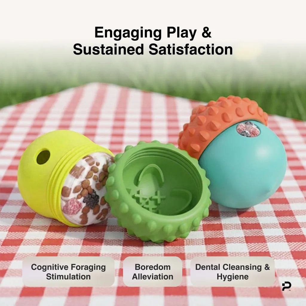 MyPiFi DentalFlex orange and green treat-dispensing dog toys filled with kibble, displayed on a picnic blanket for outdoor play.