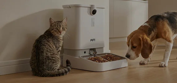 All-in-One Smart Pet Feeder