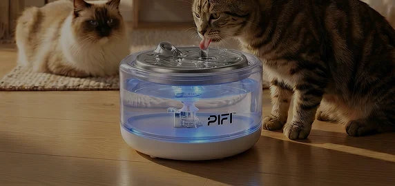Sapphire Glass Pet Water Fountain