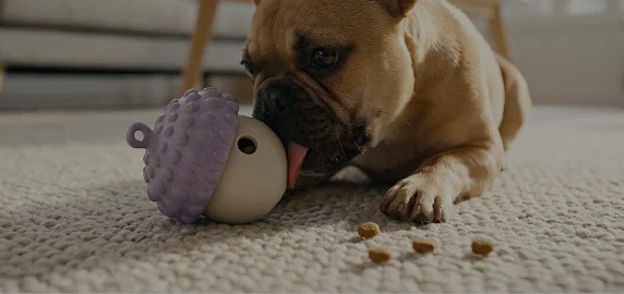 DentalFlex Nut Chew Toy