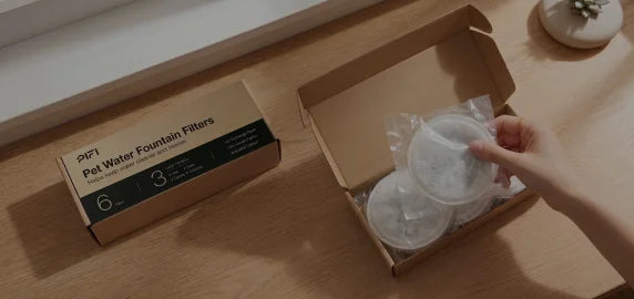 Fountain Filter