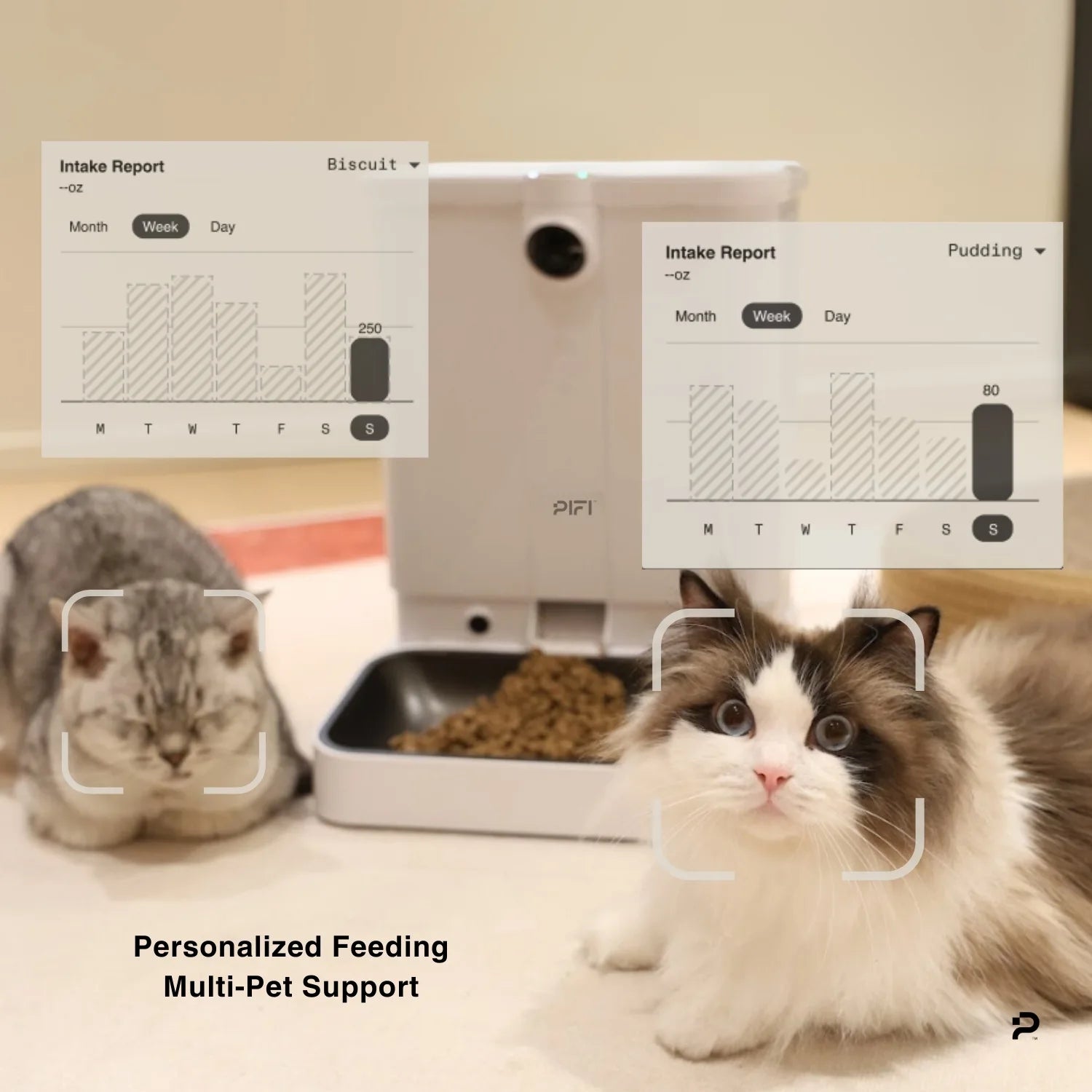 Two cats sit near a smart pet feeder labeled PIFI dispensing food. The background features a smartphone showing a feeding setup app. Visual AI indicators highlight the cats’ faces, illustrating personalized, smart-home compatible feeding technology.
