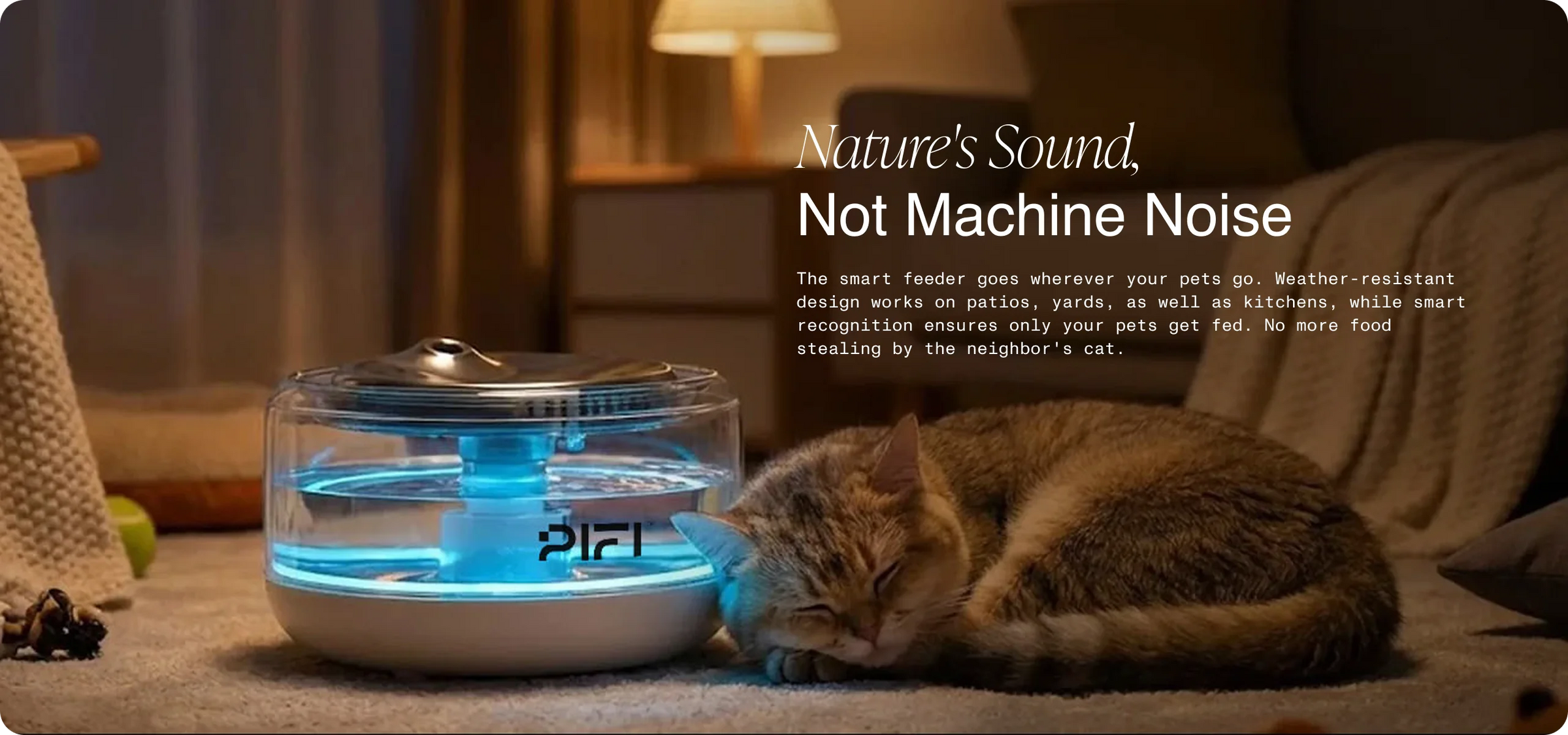 nature sound no machine noise