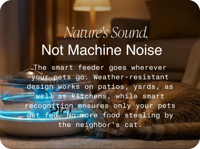 nature sound no machine noise